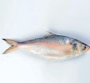 Deshi Fish